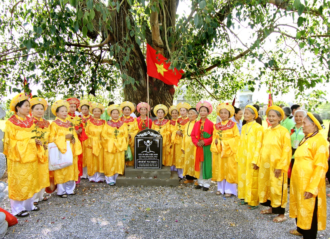 Bảo[-]tồn[-]cây[-]cổ[-]thụ[-]-[-]Mô[-]hình[-]của[-]dân,[-]do[-]dân,[-]vì[-]dân